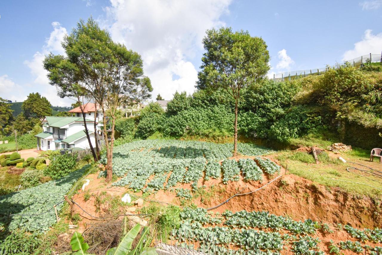 St. Anne Holiday Bunglow Nuwara Eliya Exteriér fotografie